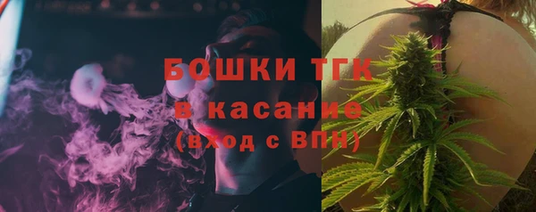 индика Беслан