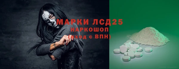 PSILOCYBIN Магас