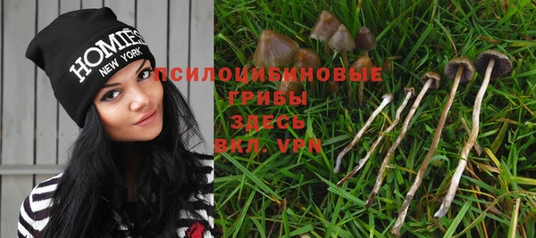 молекула духа Медногорск