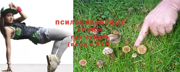 spice Медвежьегорск