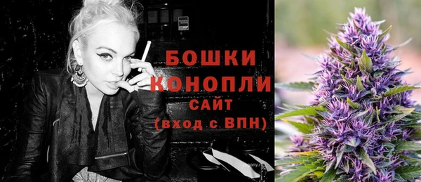 молекула духа Медногорск