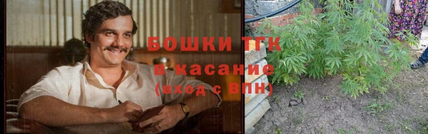 молекула духа Медногорск