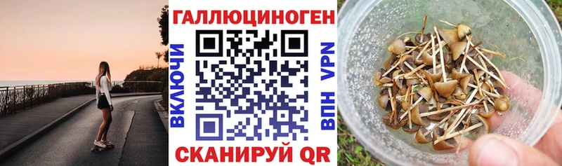 где найти наркотики  Карабаново  Галлюциногенные грибы ЛСД 